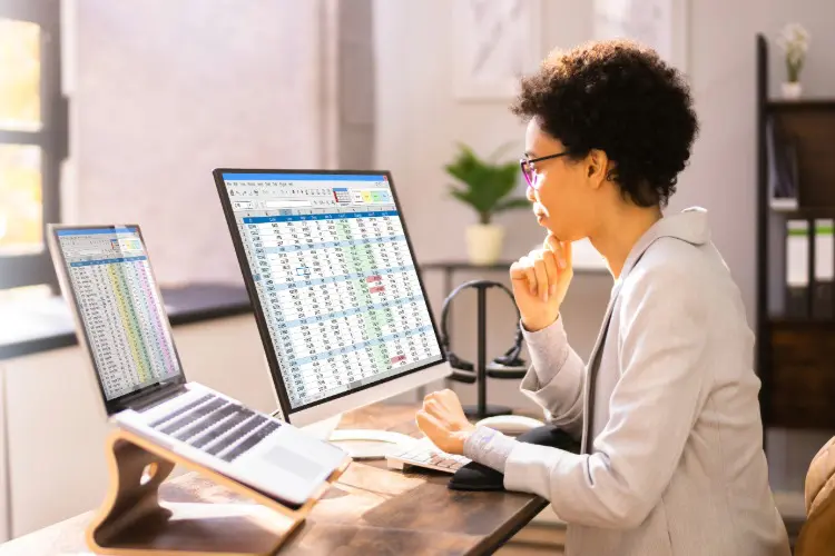 experienced revenue experts